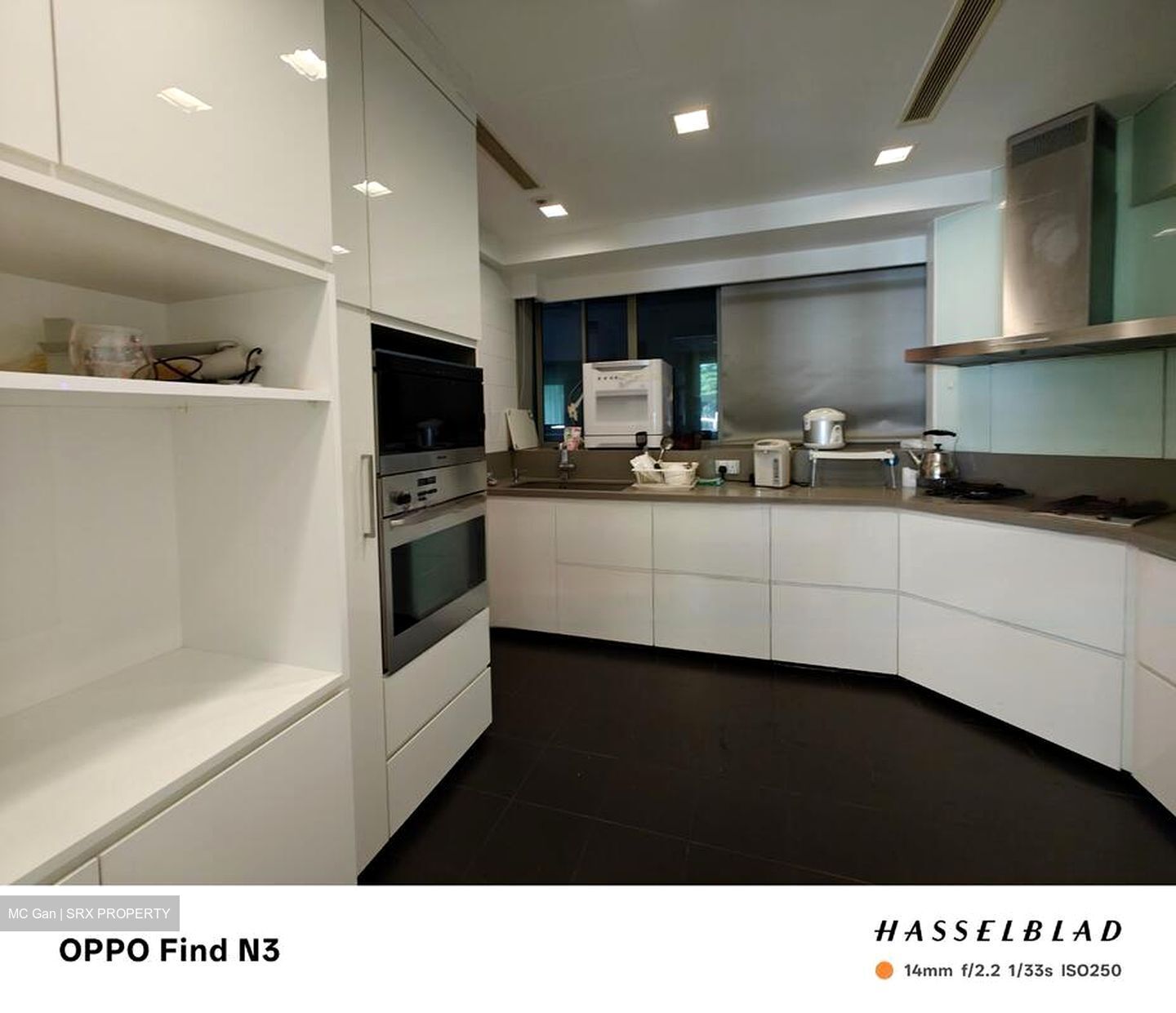 The Light @ Cairnhill (D9), Condominium #462257141